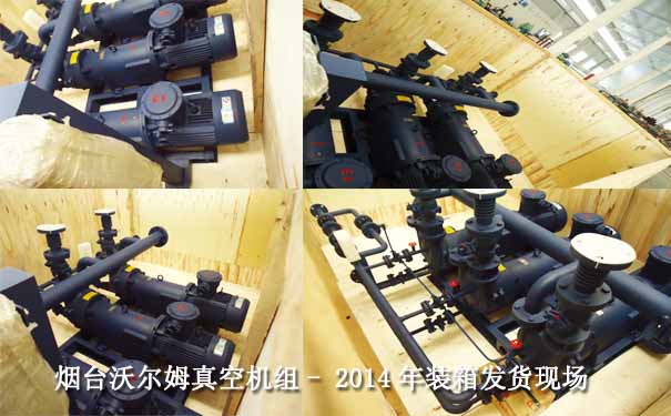 真空泵機(jī)組案例-2014.9珠海某制藥2BV系列液環(huán)真空泵機(jī)組裝箱發(fā)貨現(xiàn)場圖片