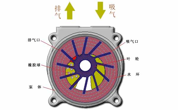 水環(huán)真空泵，水環(huán)式真空泵工作原理
