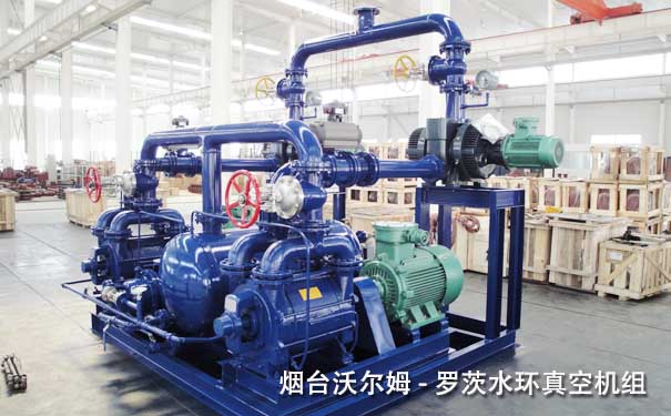 羅茨水環(huán)真空機(jī)組-山東沃爾姆羅茨真空機(jī)組廠家