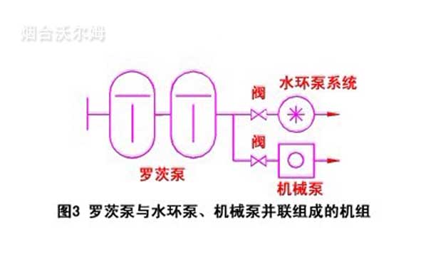 羅茨泵與水環(huán)泵、機(jī)械泵并聯(lián)組成的機(jī)組