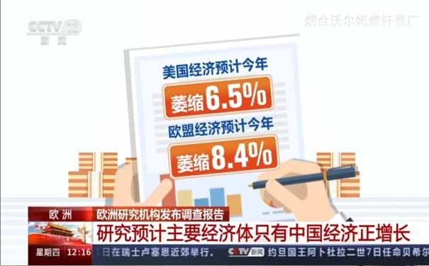主要經(jīng)濟(jì)體只有中國(guó)經(jīng)濟(jì)正增長(zhǎng)